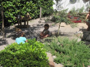 Protegits per la vegetació