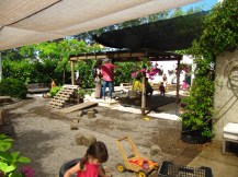 La bellesa de la vegetació