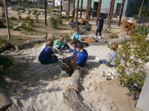 Un nou concepte de sorral. Observació maig de 2015