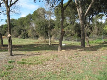 Escola Roser Capdevila (12)