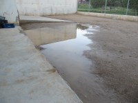 Colònia Güell comissió (16)