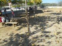 Pla vinyes 2015 reparacio reg (23)