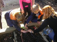 SANYO DIGITAL CAMERA