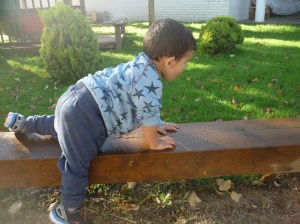 EBM Els Belluguets Palafrugell (22)