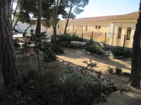 Escola pública La Vila Palamos (8)